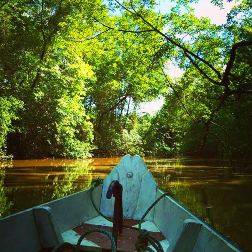 Praias de rio, façanhas com búfalos e a alma do Pará em cada detalhe: viva a ilha do Marajó